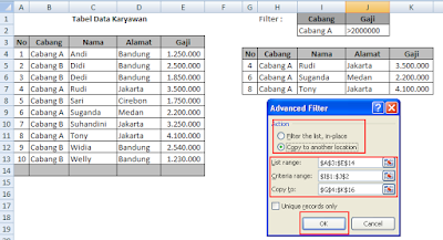 filter data dalam excel