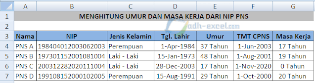 Menghitung Umur dan Masa Kerja dari NIP PNS