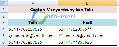 menyembunyikan teks dalam excel