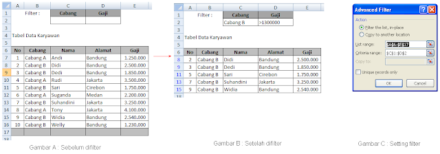 cara menggunakan advanced filter excel