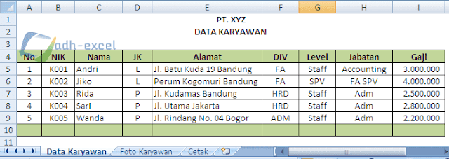 data karyawan dalam excel