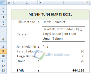 rumus menghitung bmr di excel