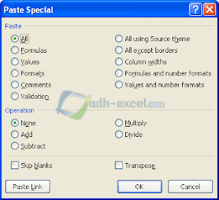 paste special excel